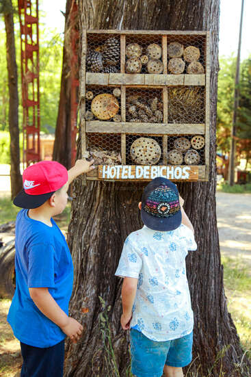 Two boys wearing caps examine a wooden "Hotel de Bichos" insect hotel attached to a tree, filled with pinecones, sticks, and drilled wood blocks. Outdoor setting.