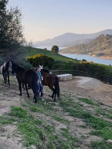 The image depicts a serene scene of a woman standing with three horses in a fenced area, set against a picturesque backdrop of rolling hills and a tranquil body of water.