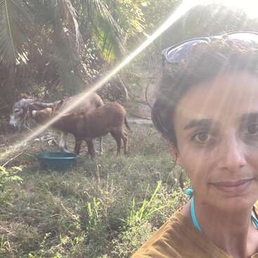 Uma mulher tira uma selfie ao ar livre com a luz do sol incidindo, usando óculos escuros na cabeça. Dois burros estão pastando no fundo gramado sob palmeiras.