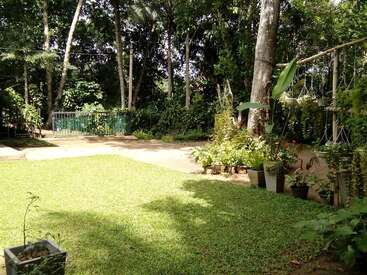 The image depicts a serene backyard with lush green grass, trees, and potted plants, featuring a fence and gate in the background, evoking a peaceful atmosphere.