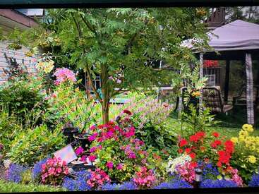 Um jardim cheio de vida, repleto de flores coloridas e vegetação, rodeia uma pequena árvore. Ao fundo, há um gazebo aconchegante com móveis de jardim.