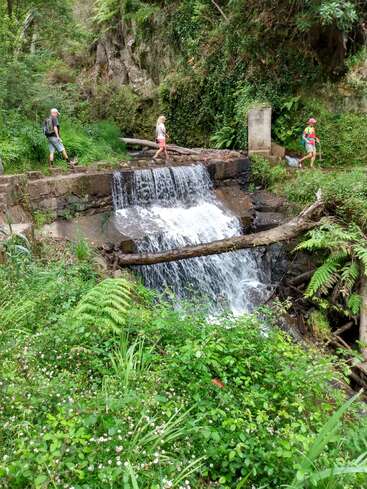 Three people enjoy a scenic nature walk beside a small waterfall surrounded by lush greenery, ferns, and stone, immersed in a tranquil forest setting.