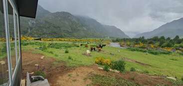 A lush green valley with grazing cows, a flowing river, yellow wildflowers, mountains shrouded in mist, cloudy skies, and a house with large reflective windows.
