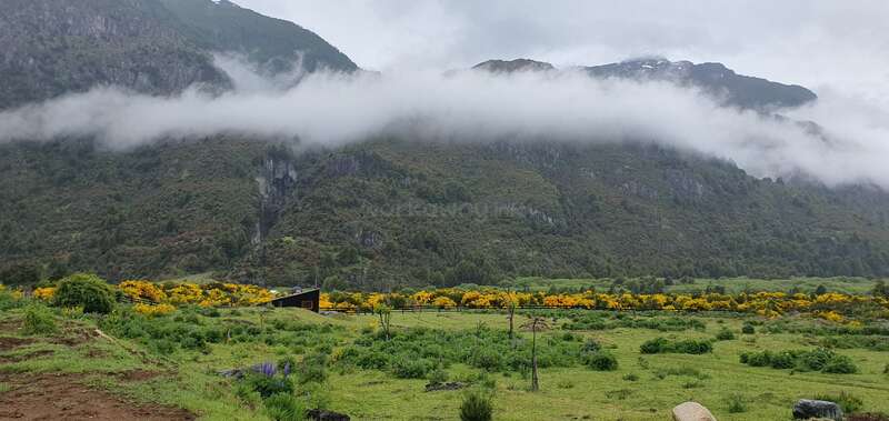 A beautiful landscape featuring green fields, yellow wildflowers, a small cabin, and misty mountains partially covered by low-hanging clouds under an overcast sky. Peaceful and serene.