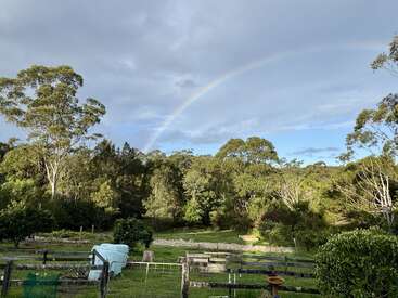 Un magnifique arc-en-ciel traverse un ciel nuageux au-dessus d'un jardin verdoyant avec des arbres, des clôtures en bois et des taches de soleil créant une scène paisible.