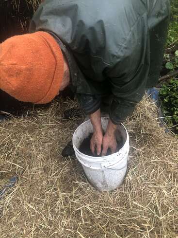 Uma pessoa usando um gorro laranja e uma jaqueta verde se inclina, colocando as mãos em um balde branco cheio de terra, cercada por palha ao ar livre.