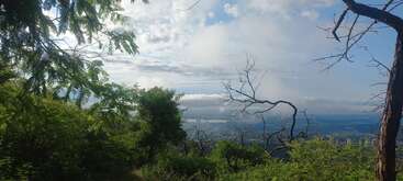 A scenic view from a forested hillside shows lush greenery, twisted tree branches, and a distant city beneath a vast, partly cloudy blue sky. Peaceful atmosphere.