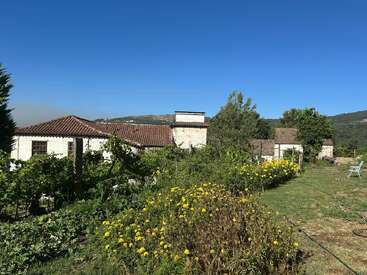Cette image montre une maison rustique au toit de tuiles rouges entourée d'une végétation luxuriante, de plantes à fleurs et d'un ciel bleu clair par une journée ensoleillée.