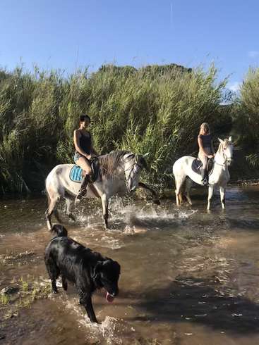 The image depicts two women riding horses through a shallow river, with a black dog wading in the water in front of them.