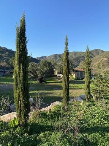 The image depicts a serene landscape with three tall trees, a small house, and rolling hills under a clear blue sky, evoking a sense of peacefulness and tranquility.