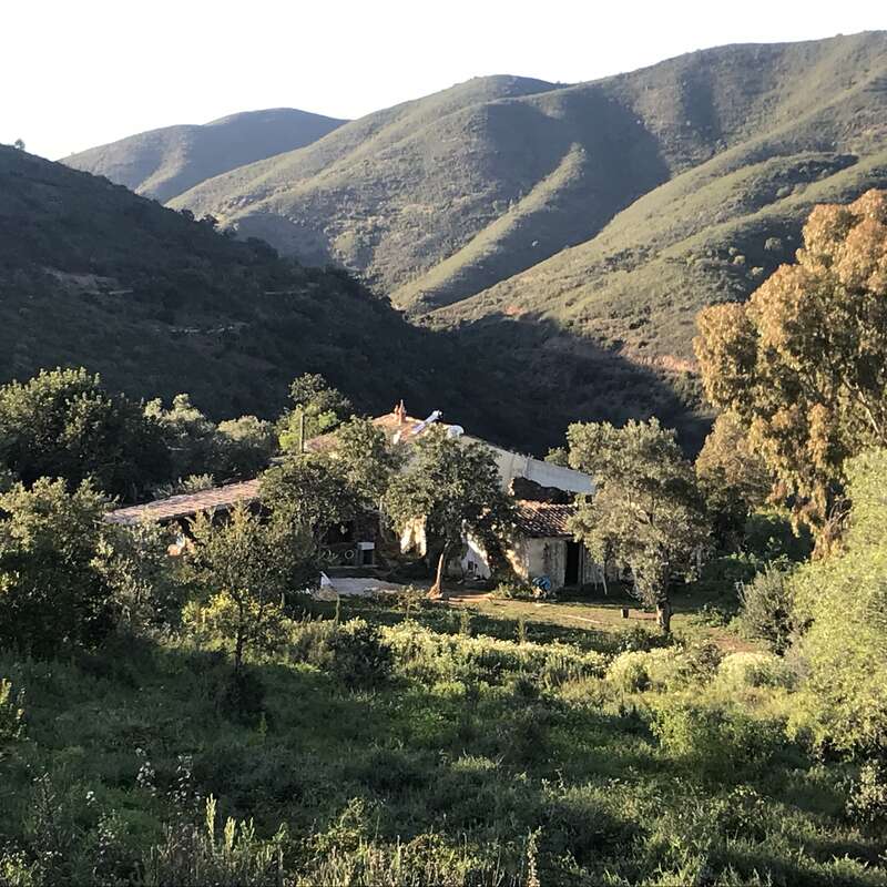 The image depicts a serene rural scene featuring a house nestled among lush trees and rolling hills, bathed in warm sunlight.