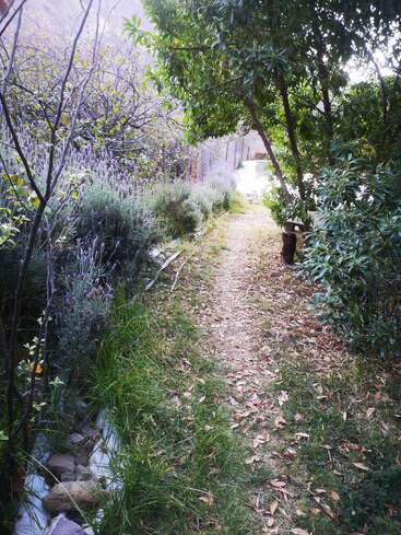 Um caminho estreito de terra passa por uma vegetação exuberante, arbustos de lavanda e árvores pendentes. Folhas caídas espalham-se pela trilha, criando um cenário tranquilo e natural de jardim.