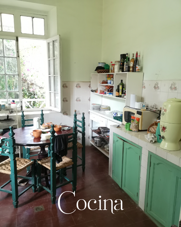 Essa cozinha aconchegante tem armários verdes, uma mesa redonda de madeira, cadeiras rústicas, prateleiras abertas com alimentos, janelas grandes e luz do sol entrando. A palavra "Cocina" aparece.