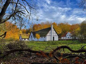 Reizende weiße Häuschen mit Strohdächern stehen inmitten bunter Herbstbäume. Ein strahlend blauer Himmel und sonnenbeschienenes Gras bilden eine friedliche Landschaft, eingerahmt von gewölbten Ästen.