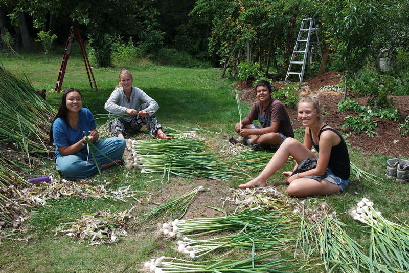 Family farm on Vancouver island BC looking for volunteers, Canada