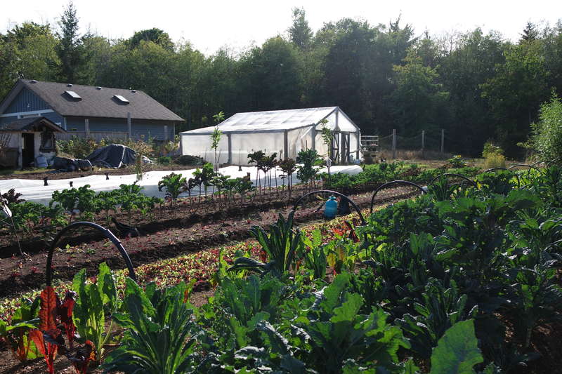 Family farm on Vancouver island BC