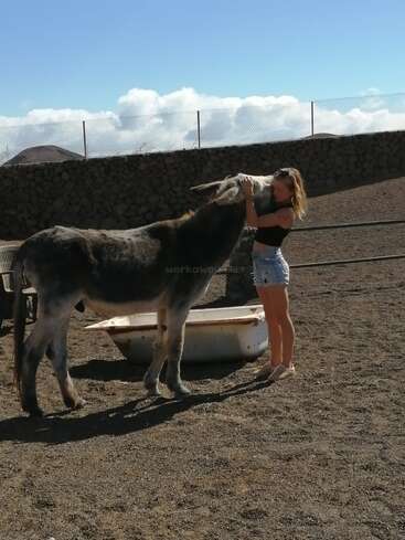 Une femme vêtue d'un short et d'un haut noir serre affectueusement un grand âne dans un espace extérieur clôturé, avec une baignoire à proximité et un ciel bleu au-dessus.