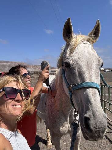 Deux personnes se tiennent à l'extérieur avec un cheval blanc. L'une brosse le cheval tandis que l'autre sourit à la caméra. C'est une journée ensoleillée et claire.