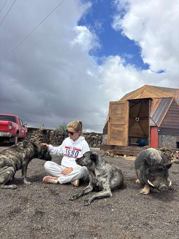 Une femme portant des lunettes de soleil est assise sur du gravier et caresse deux gros chiens. Un sanglier se tient à proximité. Derrière eux se trouvent une cabane en bois et un véhicule rouge garé.