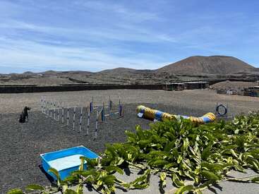Un parcours d'agilité pour chiens comprend des poteaux tressés, un tunnel jaune et bleu, un cerceau et une piscine bleue pour enfants, avec en toile de fond un paysage montagneux et rocailleux.