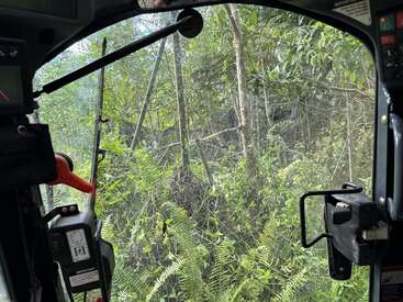 View from inside a vehicle or machine, showing a dense, green forest outside the windshield. Ferns, trees, and undergrowth fill the wild, natural scene.