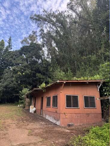A small, weathered brown building with barred windows sits beside a lush, green forest under a partly cloudy sky, surrounded by overgrown plants and nature.