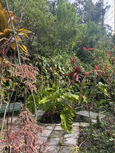 A lush, vibrant garden filled with green foliage and colorful plants. Stone pathway, two benches, and abundant tropical vegetation create a serene, peaceful outdoor atmosphere.