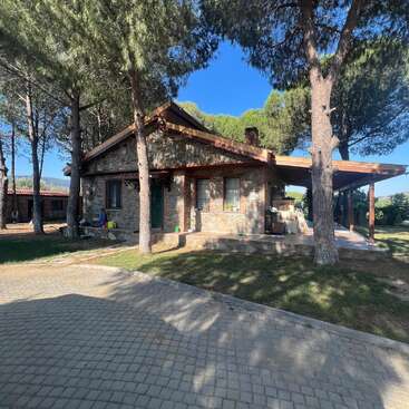 A rustic stone house surrounded by pine trees, featuring a wooden porch and shaded driveway. Sunlight filters through the trees, casting beautiful shadows on the ground.
