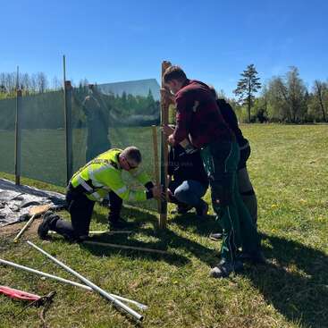 Vier Leute arbeiten gemeinsam im Freien daran, einen grünen Maschendrahtzaun mit Holzpfosten aufzustellen. Es ist sonnig, und das Feld ist mit Gras bewachsen, in der Nähe stehen Bäume.