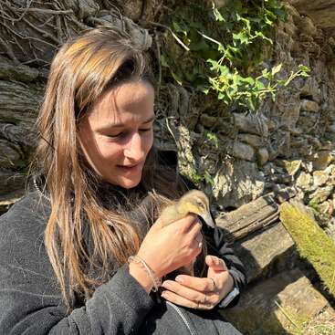 Eine Frau sitzt draußen an einer Steinmauer und hält mit einem warmen Lächeln ein flauschiges Entenbaby in den Händen. Das Sonnenlicht beleuchtet ihr Haar und ihr Gesicht.