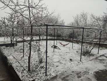 Un jardin tranquille recouvert de neige fraîche, avec des arbres dénudés et un hamac. Des armatures métalliques se dressent, vides, tandis que des empreintes de pas sillonnent ce paysage hivernal paisible et enneigé.