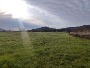 Un rayon de soleil perce à travers le ciel nuageux, illuminant un champ verdoyant et paisible. Au loin, de douces collines et quelques arbres isolés encadrent ce paysage serein.