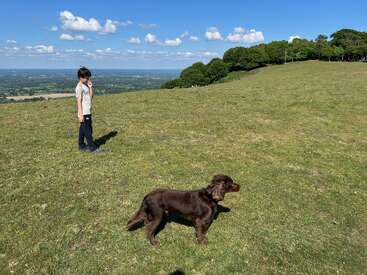 Un garçon et un chien brun se tiennent au sommet d'une colline herbeuse sous un ciel bleu lumineux, avec en arrière-plan des champs, des arbres et des paysages pittoresques.