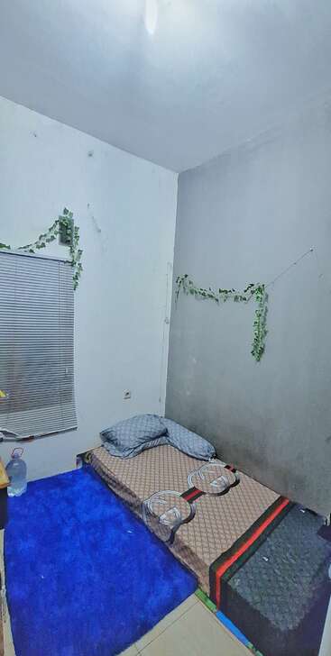 L'image représente une petite pièce faiblement éclairée aux murs blancs, avec un lit simple et un tapis bleu, une fenêtre avec des stores et des vignes vertes sur les murs.