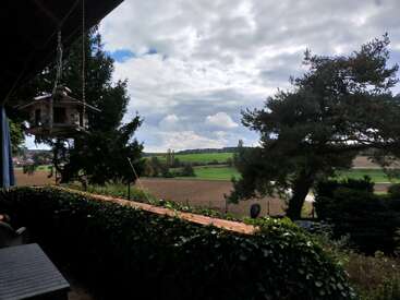 A peaceful countryside view from a shaded patio, featuring a birdhouse, trees, lush green fields, cloudy sky, and a tranquil rural atmosphere in the distance.