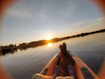 Eine Person mit lila Schuhen und ein Hund sitzen in einem orangefarbenen Kajak und genießen friedlich einen wunderschönen Sonnenuntergang am See mit ruhigem, spiegelndem Wasser und Bäumen.
