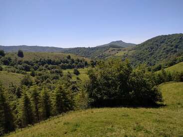 Las onduladas colinas verdes y los frondosos bosques se extienden hasta el horizonte bajo un cielo azul y despejado. La luz del sol inunda el paisaje, creando una escena tranquila y natural.