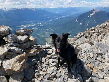 La imagen muestra a un perro negro sentado en la cima de una montaña rocosa, con una impresionante vista de montañas y valles al fondo, bajo un cielo nublado.
