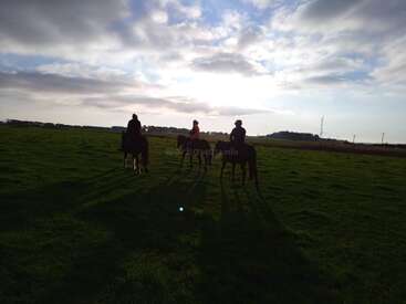 Trois personnes à cheval dans un champ verdoyant au coucher du soleil, projetant de longues ombres. Le ciel est partiellement nuageux, avec une lumière solaire éclatante en arrière-plan. Une scène paisible.