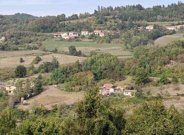 Un pintoresco paisaje rural con colinas onduladas, casas dispersas, frondosos árboles verdes, campos y bosques bajo un cielo despejado, que evoca un apacible ambiente campestre.