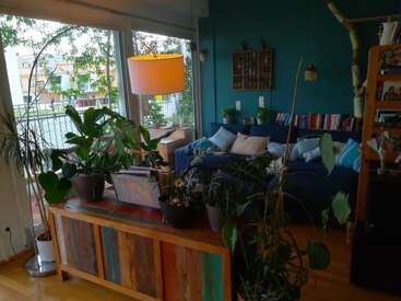 A cozy living room with abundant indoor plants, colorful cushions on a blue sofa, bookshelves, wooden furniture, and large windows allowing natural light and outdoor views.