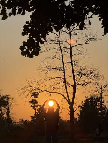 Uma pessoa em silhueta está sob um céu de pôr do sol, parecendo segurar o sol brilhante. Árvores nuas e galhos frondosos emolduram lindamente a paisagem tranquila em tons dourados.