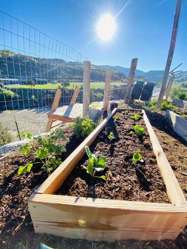 Un bancal elevado con plantas jóvenes está bañado por la luz del sol. Rodeado por una valla de alambre, ofrece vistas a un pintoresco valle y a las montañas.