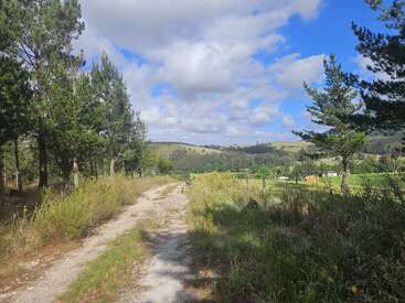 Um caminho de terra serpenteia pelo campo gramado e exuberante, ladeado por pinheiros verdes sob um céu azul parcialmente nublado, levando a colinas distantes.