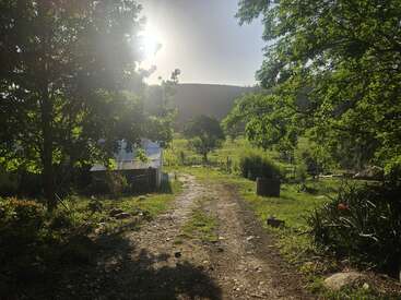 Um caminho de terra iluminado pelo sol serpenteia por uma vegetação exuberante e árvores, levando a uma área de fazenda com um galpão com telhado de metal, pastos e colinas distantes. Uma manhã tranquila.