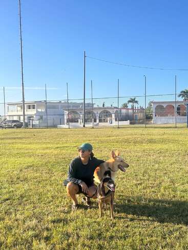 A person wearing a green cap and sunglasses crouches in a grassy field with two happy dogs, under a clear blue sky near fenced buildings.