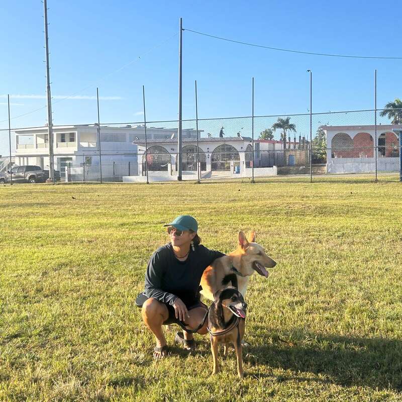 A person wearing a green cap and sunglasses kneels on grass with two happy dogs. Behind them, there’s a fence, buildings, and a clear blue sky.
