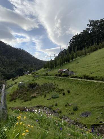 Une scène de campagne sereine avec des collines verdoyantes, des fleurs sauvages vibrantes, des cabanes rustiques, un petit ruisseau, une forêt luxuriante et des nuages spectaculaires sous un ciel bleu brillant.