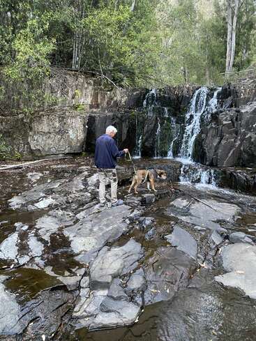 Um senhor de cabelos brancos passeia com um cachorro na coleira sobre rochas molhadas perto de uma pequena cachoeira, cercado por uma floresta verdejante e penhascos rochosos.