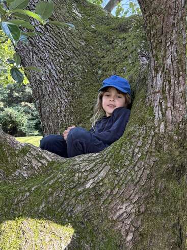 Ein Kind mit einer blauen Mütze und dunkler Kleidung sitzt gemütlich in der moosbewachsenen Astgabel eines großen Baumes, umgeben von üppigem Grün und natürlichem Licht.